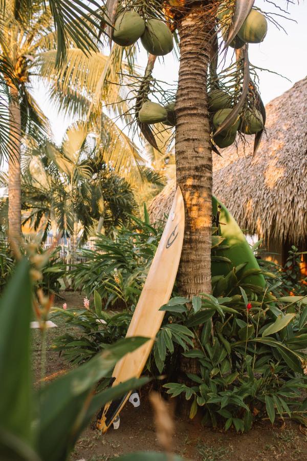 Hidden Wave Hotel El Paredon Buena Vista Ngoại thất bức ảnh